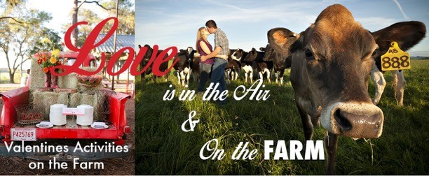 Love is in the Air & On the Farm - Top 10 Farms to LOVE!